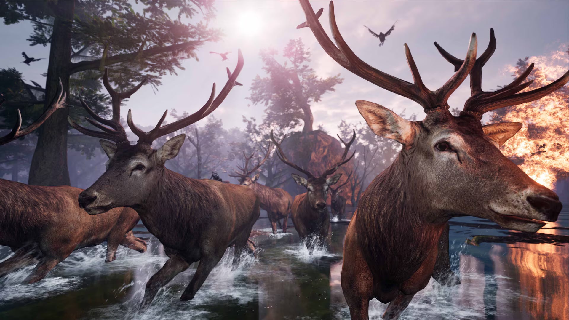 Away: The Survival Series - PS4